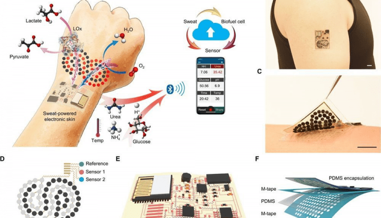 электронная оболочка