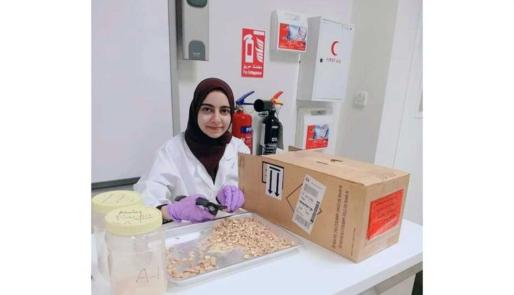 Лаборатория падающих стен... конкурс...