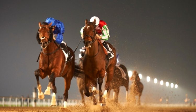 Лошади Эмиратов