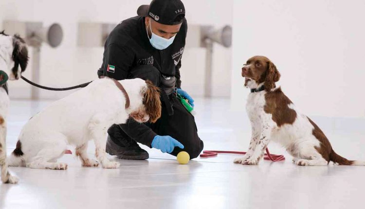 полицейских собак