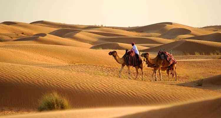 Сафари в Дубае