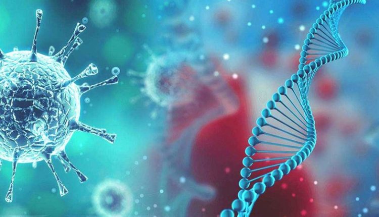 ОАЭ проводит