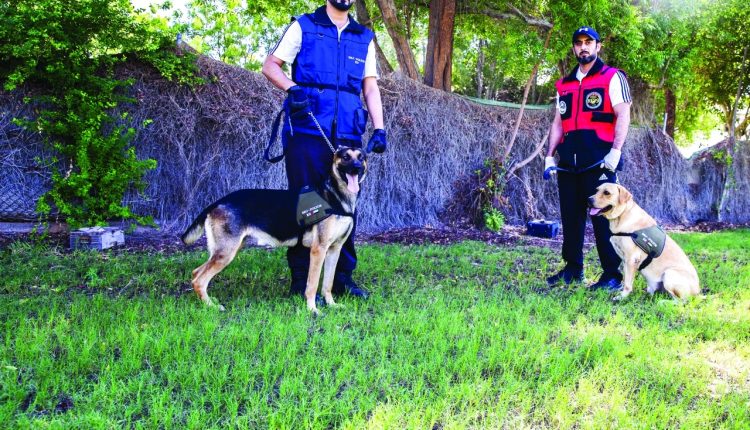 Полиция Шарджи